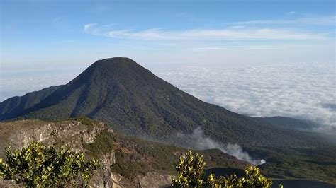 Taman Nasional Gunung Gede Pangrango, 자연을 품은 신비로운 화산의 아름다움!